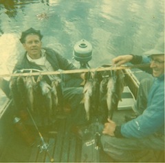 Northern Fish